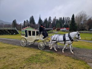 A horse and carriage